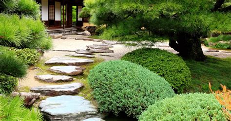  Zen and the Art of Gardening: Unearthing Wisdom Through Cultivated Calm