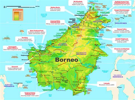  “Into the Heart of Borneo” – A Journey Beyond Maps and Tourist Trails