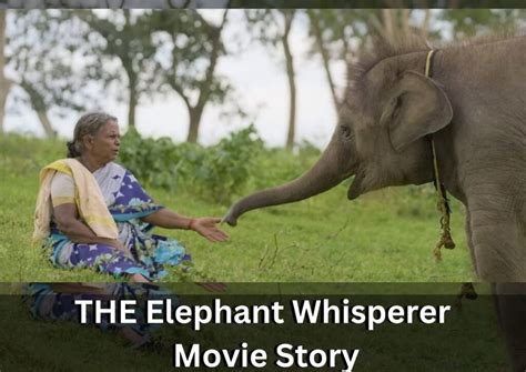  The Elephant Whisperer – A Haunting Tale of Man and Beast